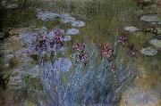 Claude Monet Irises and Water Lillies oil painting reproduction
